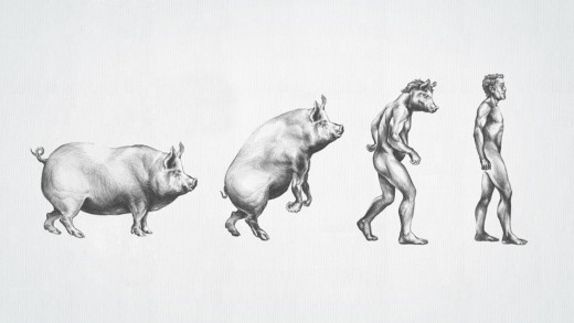 539565 (a): :1920x1080